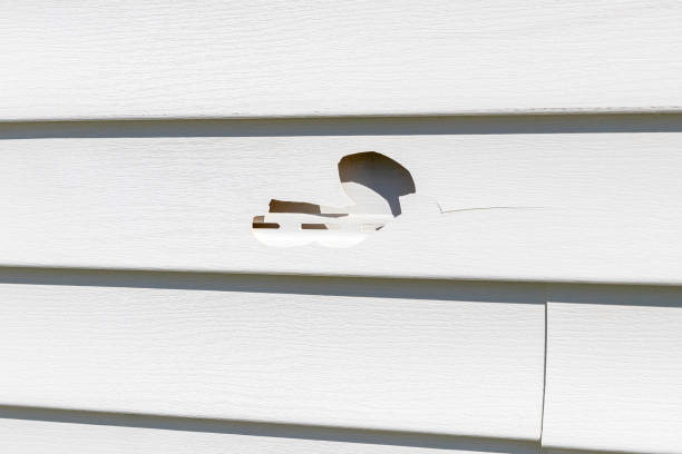 Fridley, MN Siding Services Company